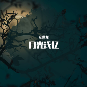 月光浅忆