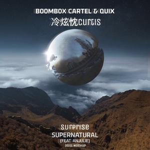 Supernatural Surprise (Dont Mashup)