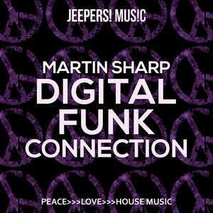Digital Funk Connection (Original Mix)