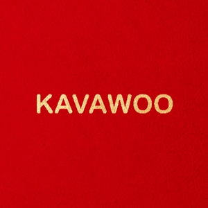 错的人（KAVAWOO remix）