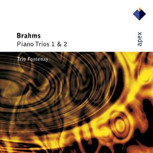 Piano Trio No. 1 in B Major, Op. 8:IV. Finale. Allegro