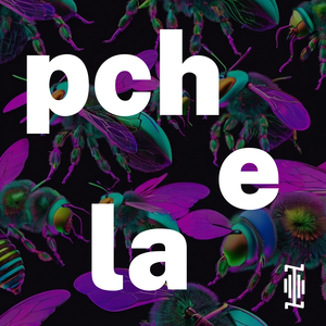 Pchela
