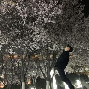 青春 终