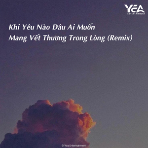Khi Yêu Nào Đâu Ai Muốn Mang Vết Thương Trong Lòng (Remix)