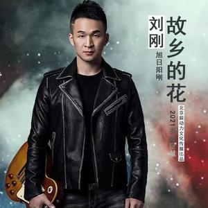 故乡的花
