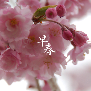 いとしのエリー