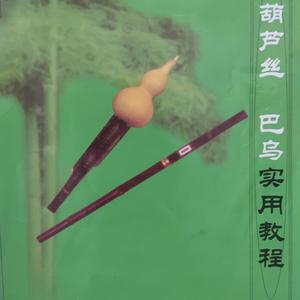 葫芦丝-2.角落里的凤尾竹（Joyes脆皮鱼 remix）