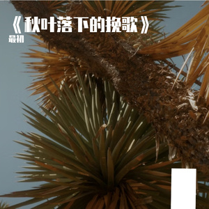 会编织梦的蜘蛛