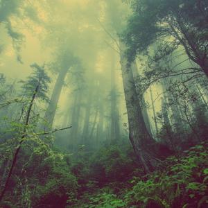 回首依然不见你