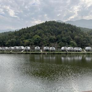 杀死那个石家庄人