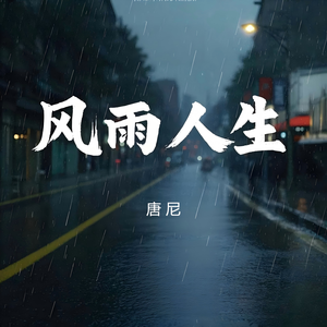 风雨人生