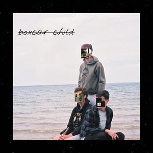 Camphorweed (p. 139)