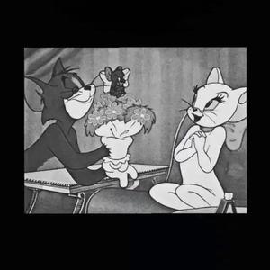 可惜不是你