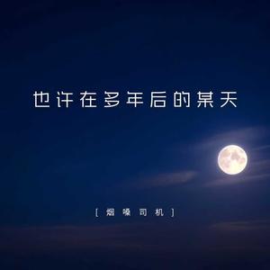 也许在多年后的某天