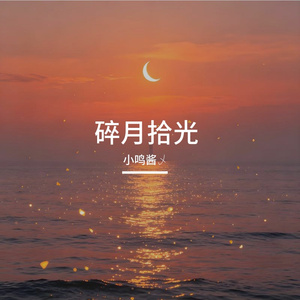 碎月拾光