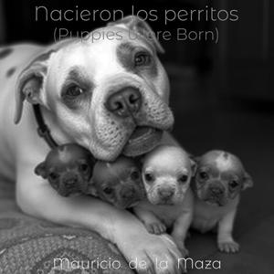Nacieron los perritos (Puppies were born)