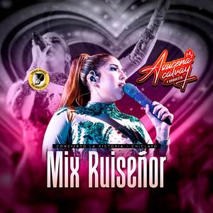 Mix Ruiseñor (Concierto En Vivo Chiclayo)