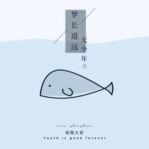 梦长道远无少年