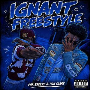 Ignant Freestyle (feat. PRK Clare)