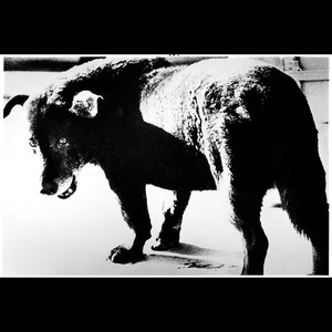 Avaritia (2013 Demo)