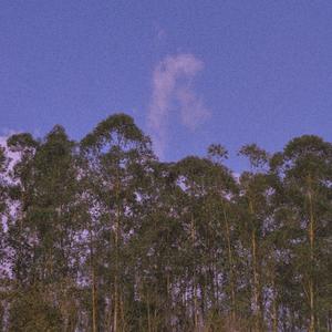 城市的黄昏（翻自 洪启）