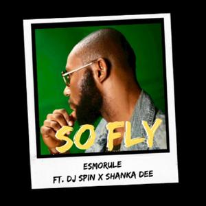 So Fly (feat. Dj Spin & Shanka Dee)