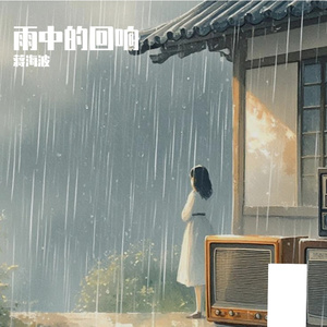 雨中的回响