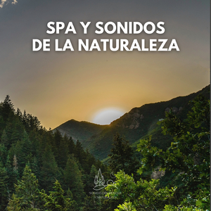 Spa y Sonidos de la Naturaleza (04)