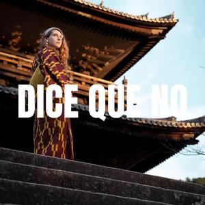 DICE QUE NO