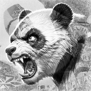 Mein Herz schwarz-weiß (Rock)