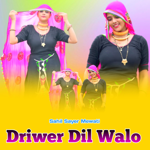 Driwer Dil Walo