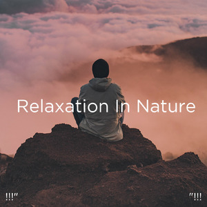 수면을위한 바다의 소리