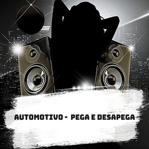 Automotivo Pega e Desapega