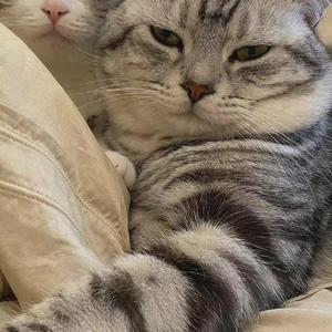 这路遥车马急的人间