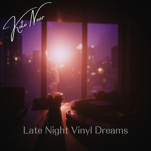 Late Night Vinyl Dreams