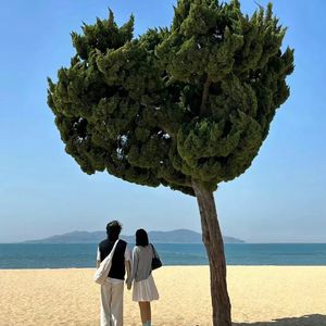 陪你走过春夏秋冬