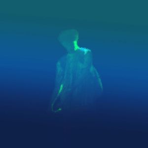 in my dream（在我梦里）