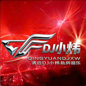 温柔炜-追猎进行曲 2024（温柔炜 remix）