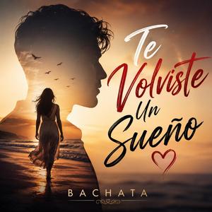 Te Volviste Un Sueño