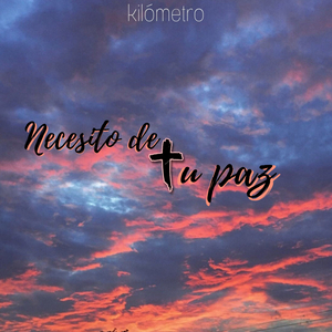 Necesito de Tu Paz