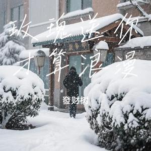 玫瑰送你才算浪漫