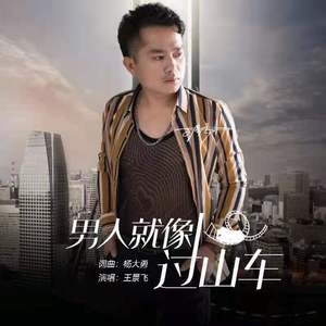 王景飞 - 男人就像过山车