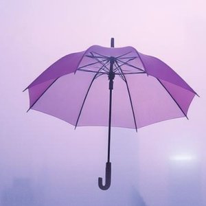 为什么要想起你