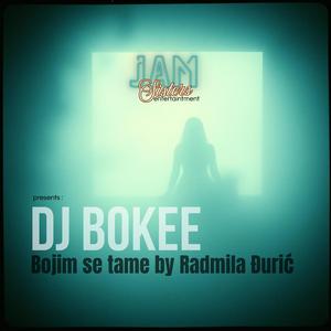 DJ Bokee - Bojim se tame