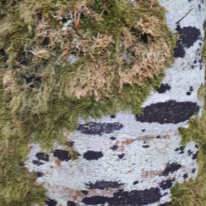 Záhada zvuku (Mithe Bewitching Mirage)