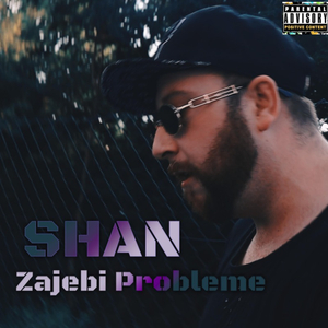 Zajebi Probleme