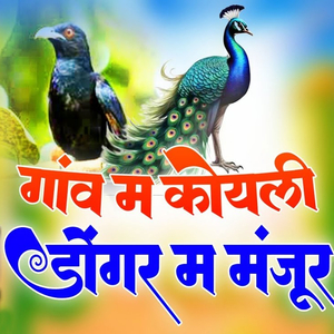 Gaon Me Koyali Dongri Ma Manjur