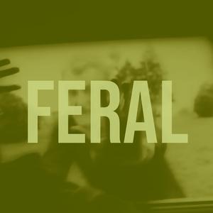 Feral