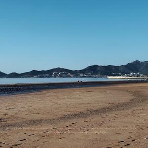 这该死的一天有很多话想说