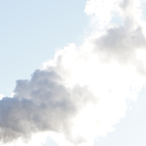 过期荷尔蒙cover